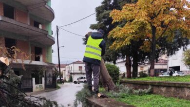 Κόπηκαν-επικίνδυνα-δέντρα-στην-πλατεία-Μητέρας-στα-Μετέωρα