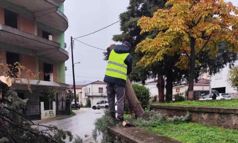 Κόπηκαν-επικίνδυνα-δέντρα-στην-πλατεία-Μητέρας-στα-Μετέωρα