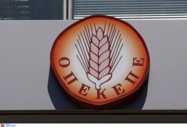 ΟΠΕΚΕΠΕ:-Αντίστροφη-μέτρηση-για-την-καταβολή-της-βασικής-ενίσχυσης-σε-αγρότες-και-κτηνοτρόφους-–-Οι-τελευταίες-πληροφορίες-για-τις-πληρωμές