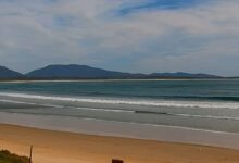 Σίδνεϊ:-Ταυροκαρχαρίας-κατασπάραξε-20χρονη-σε-παραλία-–-Σε-κρίσιμη-κατάσταση-ο-σύζυγός-της