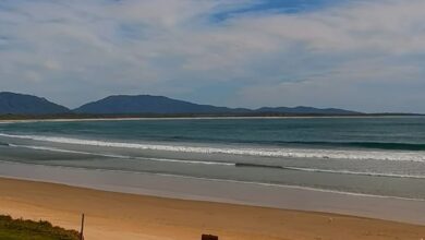 Σίδνεϊ:-Ταυροκαρχαρίας-κατασπάραξε-20χρονη-σε-παραλία-–-Σε-κρίσιμη-κατάσταση-ο-σύζυγός-της