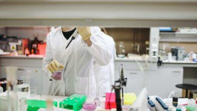 Ινστιτούτο-Παστέρ:-Η-μετάλλαξη-του-ιού-της-γρίπης-των-πτηνών-ενδέχεται-να-προκαλέσει-πανδημία-πιο-σοβαρή-από-τον-κορονοϊό