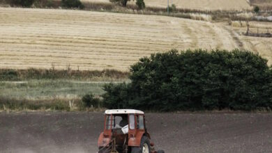 Αγροτικές-επιδοτήσεις:-Πάνω-από-3,7-δισ.-ευρώ-μέχρι-τέλος-του-2025-στους-αγρότες-–-Την-Παρασκευή-η-προκαταβολή-της-βασικής-ενίσχυσης