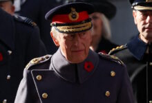 Νέο-oυίσκι-από-τους-κήπους-του-βασιλιά-Καρόλου-στο-Γκλόστερσαϊρ-της-Βρετανίας-θα-βγει-στην-αγορά