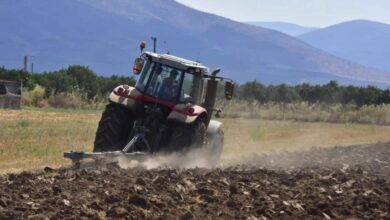 Μειωμένες-οι-χθεσινές-πληρωμές-ΟΠΕΚΕΠΕ-–-Οργή-στους-αγρότες