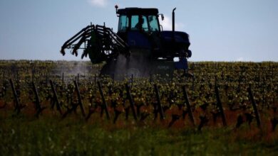 Αγρότες:-Έως-τις-10-Δεκεμβρίου-έκτακτες-πληρωμές-178,5-εκατ.-ευρώ-για-καταστροφές-παραγωγής