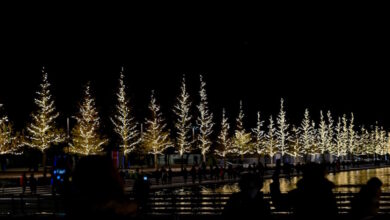 Το-Ίδρυμα-Σταύρος-Νιάρχος-«φόρεσε»-τα-χριστουγεννιάτικά-του:-Φωταγώγηση-δέντρου,-μουσική-και-εκδηλώσεις-για-την-εορταστική-περίοδο