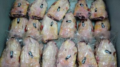 Ισπανία:-Οκτώ-ακόμη-ύποπτα-κρούσματα-πανώλης-των-χοίρων