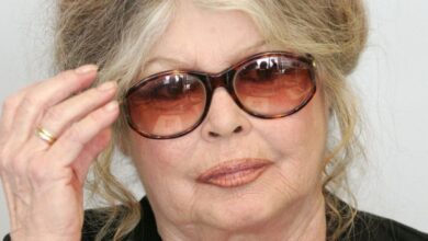 h-Μπριζίτ-Μπαρντό-καθησυχάζει-τους-θαυμαστές-της-μετά-τη-νοσηλεία-της-–-«Μην-ανησυχείτε-για-την-υγεία-μου»