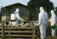 Καταργείται-ο-απολυμαντικός-σταθμός-στη-γέφυρα-Καραβόπορου-–-Ποιοι-παραμένουν-σε-λειτουργία