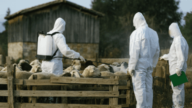 Καταργείται-ο-απολυμαντικός-σταθμός-στη-γέφυρα-Καραβόπορου-–-Ποιοι-παραμένουν-σε-λειτουργία