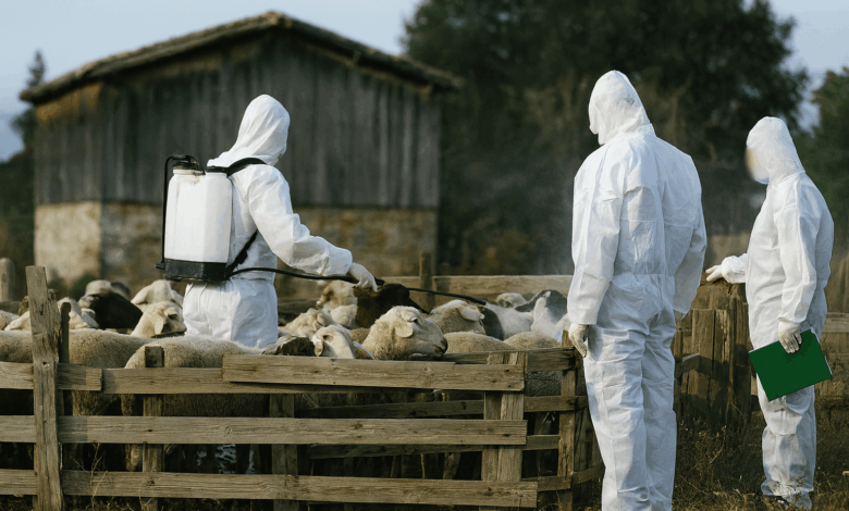 Καταργείται-ο-απολυμαντικός-σταθμός-στη-γέφυρα-Καραβόπορου-–-Ποιοι-παραμένουν-σε-λειτουργία