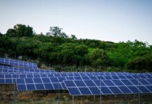 Αρχές-του-2026-οι-αιτήσεις-για-αγροβολταϊκά-130-mw-με-ταρίφα-–-Τι-προβλέπει-το-νομοσχέδιο-του-ΥΠΕΝ