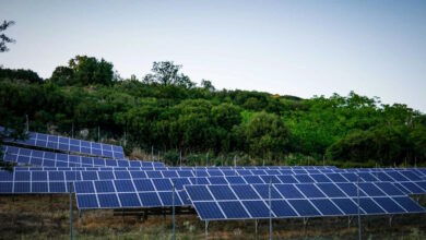 Αρχές-του-2026-οι-αιτήσεις-για-αγροβολταϊκά-130-mw-με-ταρίφα-–-Τι-προβλέπει-το-νομοσχέδιο-του-ΥΠΕΝ