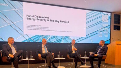 Μανουσάκης-(ΑΔΜΗΕ):-Έρχονται-μεγάλες-επενδύσεις-στα-συστήματα-μεταφοράς-ηλεκτρικής-ενέργειας