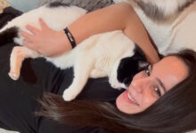 Ευλαμπία-Ρέβη:-«Είμαι-έγκυος-και-έχω-γάτες,-τα-πατουσάκια-πάνω-στην-κοιλιά-μου-είναι-αληθινή-αγάπη,-όχι-κίνδυνος»