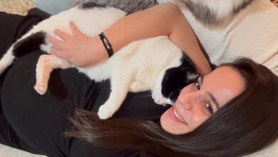 Ευλαμπία-Ρέβη:-«Είμαι-έγκυος-και-έχω-γάτες,-τα-πατουσάκια-πάνω-στην-κοιλιά-μου-είναι-αληθινή-αγάπη,-όχι-κίνδυνος»