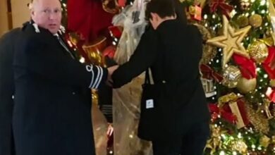 Λονδίνο:-Ακτιβιστές-άδειασαν-σακούλες-με-κοπριά-κάτω-από-το-χριστουγεννιάτικο-δέντρο-του-ritz