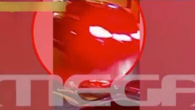 Κυπαρισσία:-Νέο-βίντεο-ντοκουμέντο-από-την-απαγωγή-του-κτηνίατρου-–-Δύο-αυτοκίνητα-με-πλάστες-πινακίδες-στο-«μικροσκόπιο»