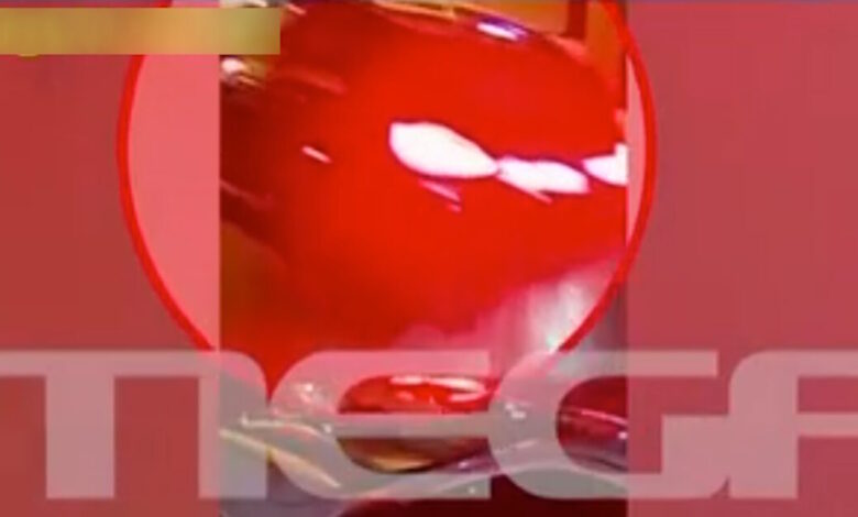 Κυπαρισσία:-Νέο-βίντεο-ντοκουμέντο-από-την-απαγωγή-του-κτηνίατρου-–-Δύο-αυτοκίνητα-με-πλάστες-πινακίδες-στο-«μικροσκόπιο»