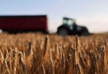 ΟΠΕΚΕΠΕ:-Άνοιξε-το-σύστημα-για-διορθώσεις-στην-Ενιαία-Αίτηση-Ενίσχυσης-2025