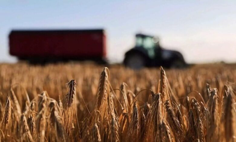 ΟΠΕΚΕΠΕ:-Άνοιξε-το-σύστημα-για-διορθώσεις-στην-Ενιαία-Αίτηση-Ενίσχυσης-2025