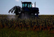 Αγρότες:-Πληρωμές-700-εκατ.-ευρώ-ως-τέλος-Δεκεμβρίου-–-Παράθυρο-για-βασική-ενίσχυση-πριν-τις-25-Δεκεμβρίου