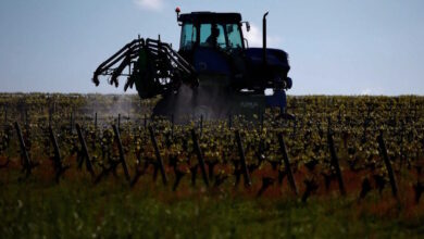 Αγρότες:-Πληρωμές-700-εκατ.-ευρώ-ως-τέλος-Δεκεμβρίου-–-Παράθυρο-για-βασική-ενίσχυση-πριν-τις-25-Δεκεμβρίου