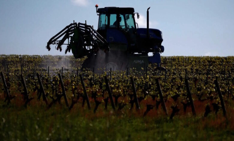 Αγρότες:-Πληρωμές-700-εκατ.-ευρώ-ως-τέλος-Δεκεμβρίου-–-Παράθυρο-για-βασική-ενίσχυση-πριν-τις-25-Δεκεμβρίου