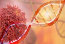 Η-σύγχρονη-ογκολογία-σε-ένα-αδιάκοπο-σαφάρι-στόχων