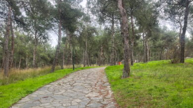 Συναγερμός-για-τους-«τιμωρούς-των-παιδόφιλων»-στη-Θεσσαλονίκη-–-Οι-τρεις-ενέδρες-και-οι-ξυλοδαρμοί