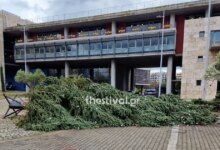 Θεσσαλονίκη:-«Γκρεμίστηκε»-το-χριστουγεννιάτικο-δέντρο-μπροστά-στο-δημαρχείο-λόγω-ισχυρών-ανέμων-από-την-κακοκαιρία-byron
