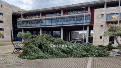 Θεσσαλονίκη:-«Γκρεμίστηκε»-το-χριστουγεννιάτικο-δέντρο-μπροστά-στο-δημαρχείο-λόγω-ισχυρών-ανέμων-από-την-κακοκαιρία-byron