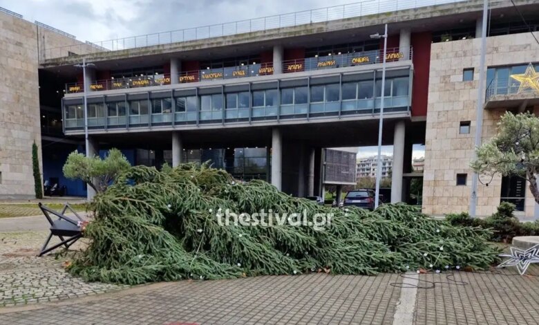 Θεσσαλονίκη:-«Γκρεμίστηκε»-το-χριστουγεννιάτικο-δέντρο-μπροστά-στο-δημαρχείο-λόγω-ισχυρών-ανέμων-από-την-κακοκαιρία-byron