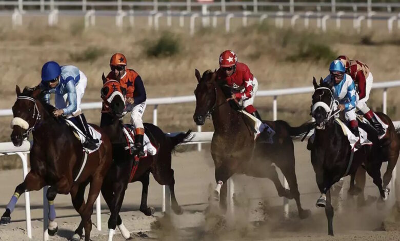 Υπερταμείο:-Σε-διαγωνισμό-η-αξιοποίηση-του-ακινήτου-«Ολυμπιακό-Ιππικό-Κέντρο-Μαρκόπουλου»