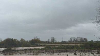 Πηνειός:-Υπέρβαση-κοίτης-και-πίεση-στα-αναχώματα-–-Επιφυλακή-σε-όλο-τον-νομό-Τρικάλων