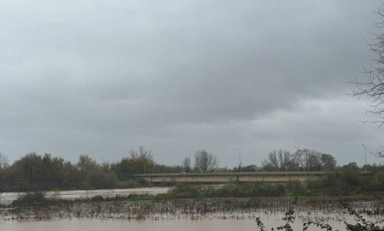 Πηνειός:-Υπέρβαση-κοίτης-και-πίεση-στα-αναχώματα-–-Επιφυλακή-σε-όλο-τον-νομό-Τρικάλων
