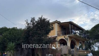 Ζάκυνθος:-Αδέσποτος-σκύλος-που-μάζεψαν-οι-γονείς-στο-σπίτι-σκότωσε-το-2χρονο-αγοράκι