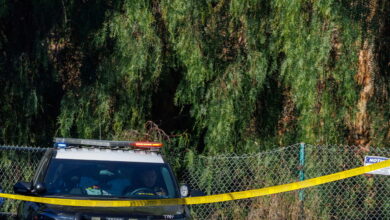 Φλόριντα:-Ανήλικοι-παρέσυραν-14χρονη-στο-δάσος,-την-πυροβόλησαν-και-την-έκαψαν