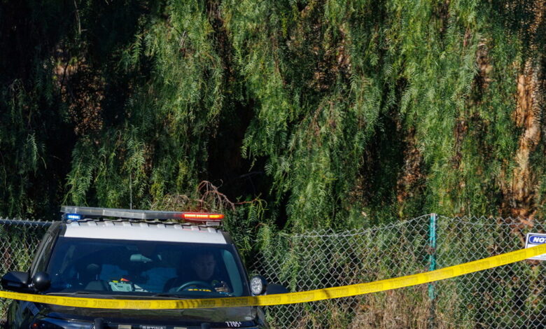 Φλόριντα:-Ανήλικοι-παρέσυραν-14χρονη-στο-δάσος,-την-πυροβόλησαν-και-την-έκαψαν