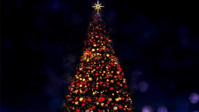 Πύλη:-Φωταγώγηση-χριστουγεννιάτικου-δέντρου-το-Σάββατο