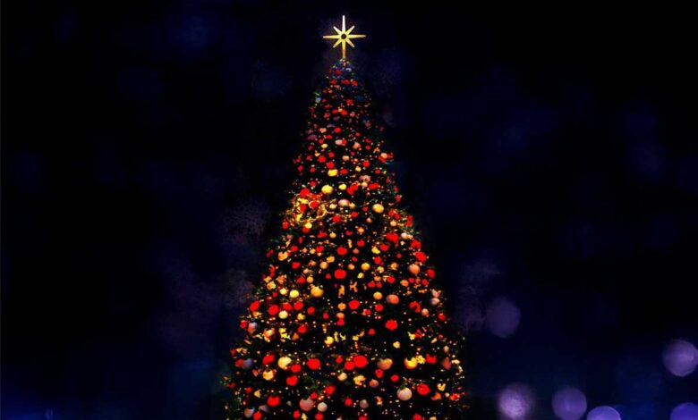 Πύλη:-Φωταγώγηση-χριστουγεννιάτικου-δέντρου-το-Σάββατο