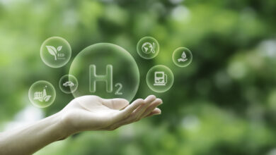 Ισχυρή-ζήτηση-για-σύγχρονες-θερμοκηπιακές-εγκαταστάσεις-–-944-αιτήσεις-για-επενδύσεις