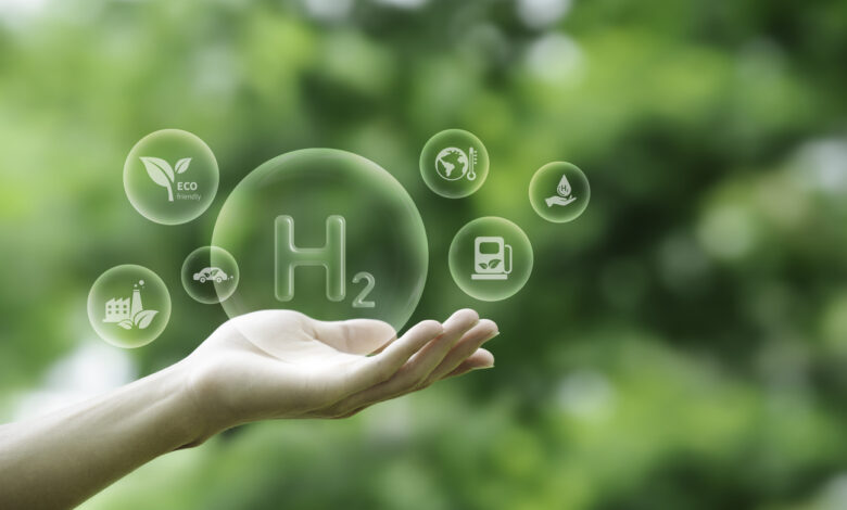 Ισχυρή-ζήτηση-για-σύγχρονες-θερμοκηπιακές-εγκαταστάσεις-–-944-αιτήσεις-για-επενδύσεις