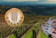 ΟΠΕΚΕΠΕ:-«Οι-έλεγχοι-έγιναν-με-βάση-το-Ε9»-–-Η-απάντηση-στους-6-βουλευτές-της-ΝΔ-για-το-Μέτρο-23-και-τους-αγρότες-που-έμειναν-εκτός-πληρωμών