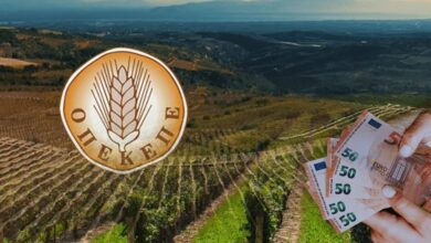 ΟΠΕΚΕΠΕ:-«Οι-έλεγχοι-έγιναν-με-βάση-το-Ε9»-–-Η-απάντηση-στους-6-βουλευτές-της-ΝΔ-για-το-Μέτρο-23-και-τους-αγρότες-που-έμειναν-εκτός-πληρωμών