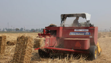 ΟΠΕΚΕΠΕ:-Νέες-πληρωμές-28,78-εκατ-ευρώ-σε-15.309-αγρότες