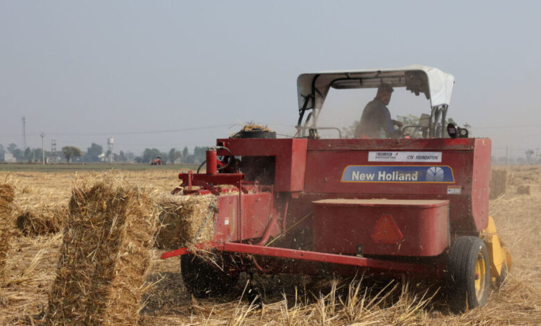 ΟΠΕΚΕΠΕ:-Νέες-πληρωμές-28,78-εκατ-ευρώ-σε-15.309-αγρότες