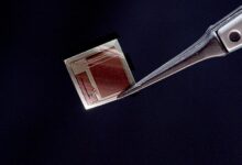 Τσιπ-bisc:-Θα-μπορούσε-να-συνδέσει-τον-ανθρώπινο-εγκέφαλο-με-την-Τεχνητή-Νοημοσύνη