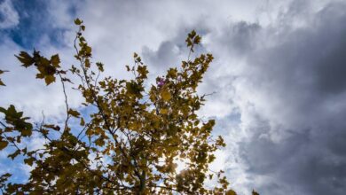 Καιρός-αύριο:-Άνοδος-της-θερμοκρασίας-σχεδόν-σε-όλη-τη-χώρα